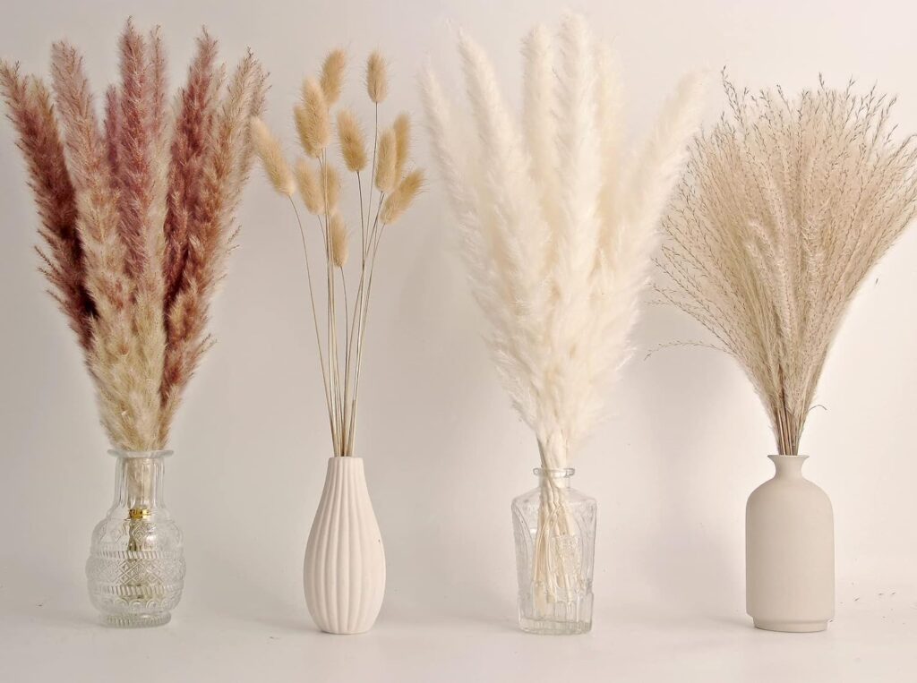 65PCS Pampas Grass Decor, Including pompas Floral, Reed Dried Grass and Bunny Tails Dried Flowers, Natural Dried Pampas Grass Bouquet for Boho Decor Wedding, Home Decoration 65PCS Pampas Grass Decor, Including pompas Floral, Reed Dried Grass and Bunny Tails Dried Flowers, Natural Dried Pampas Grass Bouquet for Boho Decor Wedding, Home Decoration