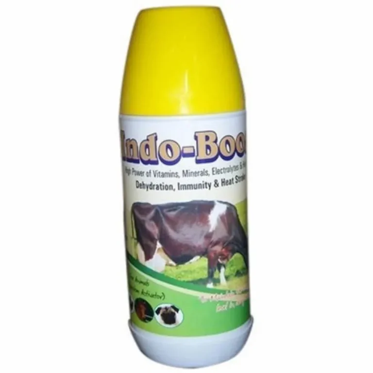 Boost Liver Function with These Powerful Supplements