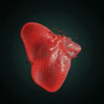 Protect Your Liver with These Must-Have Supplements