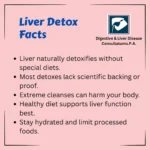 Separating Fact from Fiction: The Truth About Liver Detoxing Myths