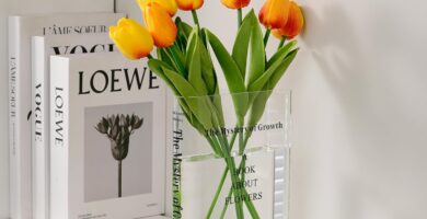 Puransen Clear Book Flower Vase – Floral Bookshelf Decor, Acrylic Flower Holder & Space-Saving Organizer, Modern Home Office/Study Desk Minimalist Aesthetic (Not Including Flowers) Puransen Clear Book Flower Vase – Floral Bookshelf Decor, Acrylic Flower Holder & Space-Saving Organizer, Modern Home Office/Study Desk Minimalist Aesthetic (Not Including Flowers)