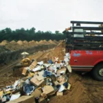 As US hunger rises, Trump administration’s ‘efficiency’ goals cause massive food waste