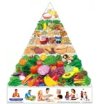 Detoxify Your Liver the Natural Way: Easy Tips for a Healthier Lifestyle