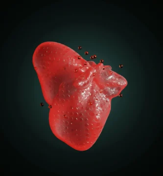 The Science Behind Liver Detox Supplements: How They Work