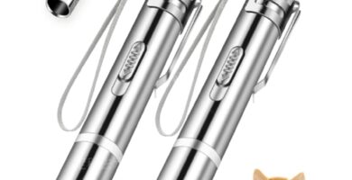 2 Pcs Cat Toy Laser Pointer Fun Playing Training Indoors Interactive Toys Presentation Clicker Pointer Teaching Pen USB Recharge 7 Adjustable Patterns Pet Chase Toy (Double)