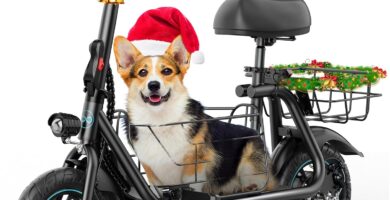 Gyroor Adults Electric Scooter with Large Middle Basket, 550W Motor 18.6 MPH 20 Mile Distance, Foldable E-Scooter with seat for Pets & Cargo