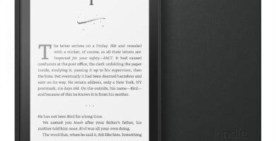 Kindle Paperwhite Essentials Bundle including All-new Kindle Paperwhite (16GB) – Black, Plant-Based Leather Cover – Black, and Power Adapter