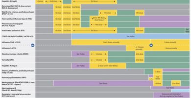 RFK Jr. wants to scrutinize the vaccine schedule – but its safety record is already decades long