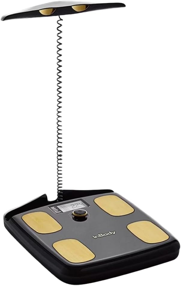 smart scale body fat
