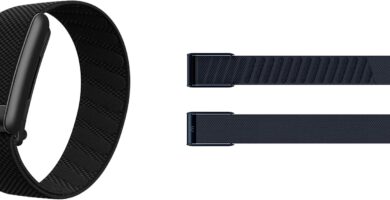 WHOOP Peak Bundle – WHOOP 5.0 Health & Fitness Wearable with 12-Month Membership + SuperKnit Wristband – 24/7 Activity, Sleep, HRV & Stress Tracker with Healthspan Insights – Midnight