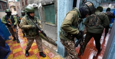 ICE not only looks and acts like a paramilitary force – it is one, and that makes it harder to curb