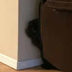 Intertape Is a Crowdsourced Archive of Vintage Cassette Recordings