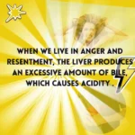 The Surprising Connection: How Your Liver Health Impacts Your Energy Levels