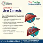 The Surprising Link Between Poor Liver Function and Weight Gain