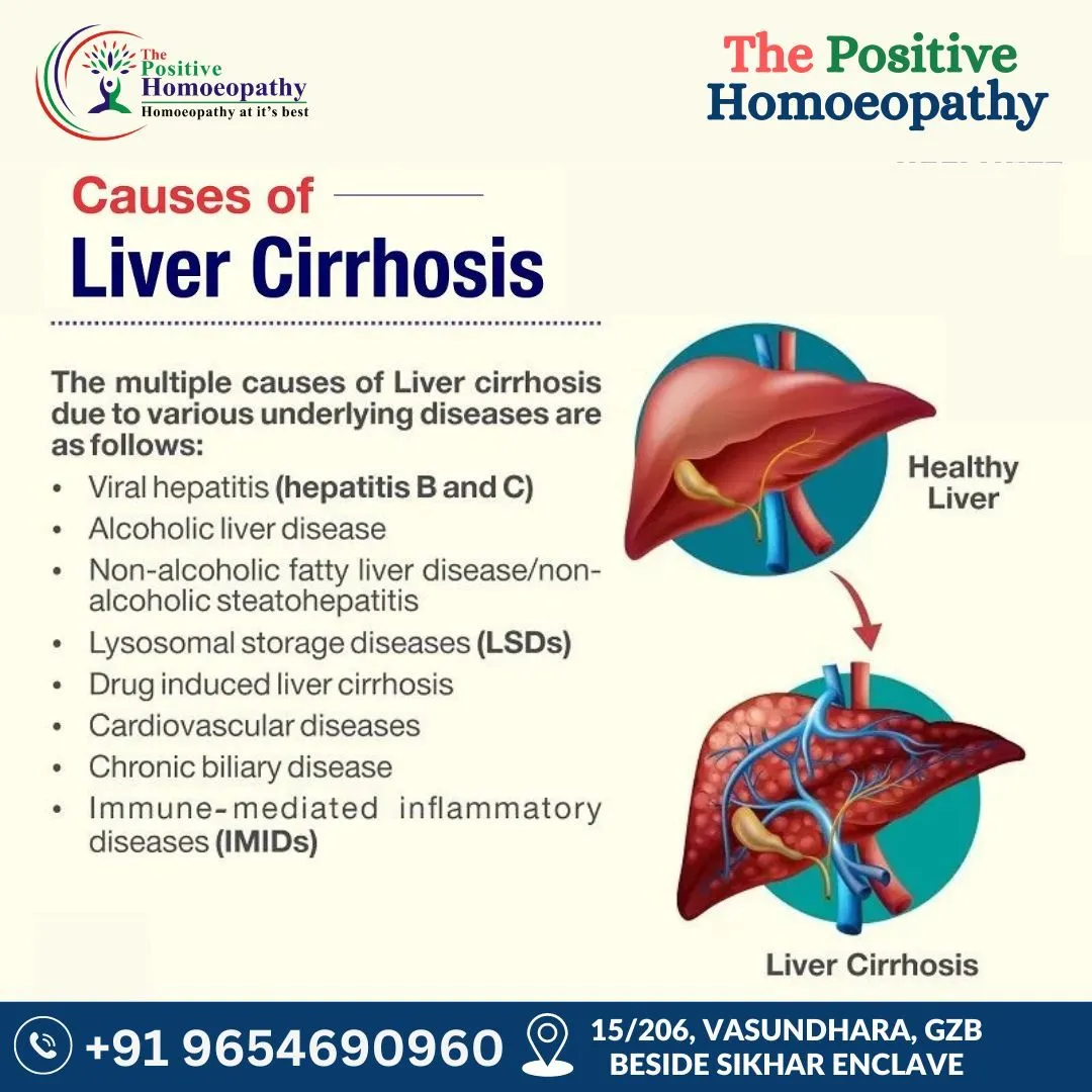 The Surprising Link Between Poor Liver Function and Weight Gain