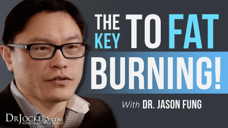 Unlocking the Key to Fat Burning: How Liver Function Plays a Crucial Role
