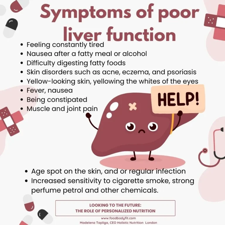 Unlocking the Secrets of How the Liver Processes Fat