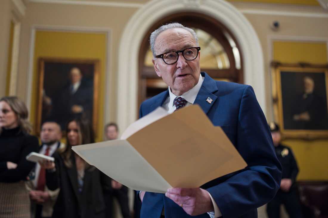 What Democrats want in exchange for funding DHS : NPR