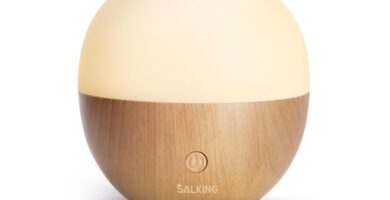 SALKING Essential Oil Diffuser, 100ml Small Aromatherapy Diffuser with Auto Shut-Off Function, Ultrasonic Diffusers for Essential Oils, Cool Mist Humidifier with Warm White Lights, for Office Home