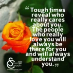 Are They Truly Beneficial For You?