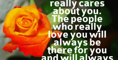 Are They Truly Beneficial For You?