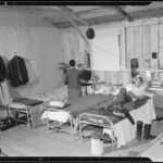 Held captive in their own country during World War II, Japanese Americans used nature to cope with their unjustified imprisonment