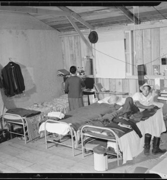 Held captive in their own country during World War II, Japanese Americans used nature to cope with their unjustified imprisonment