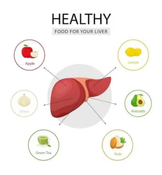 The Liver’s Connection to Weight Loss: Understanding its Impact on Fat Burning