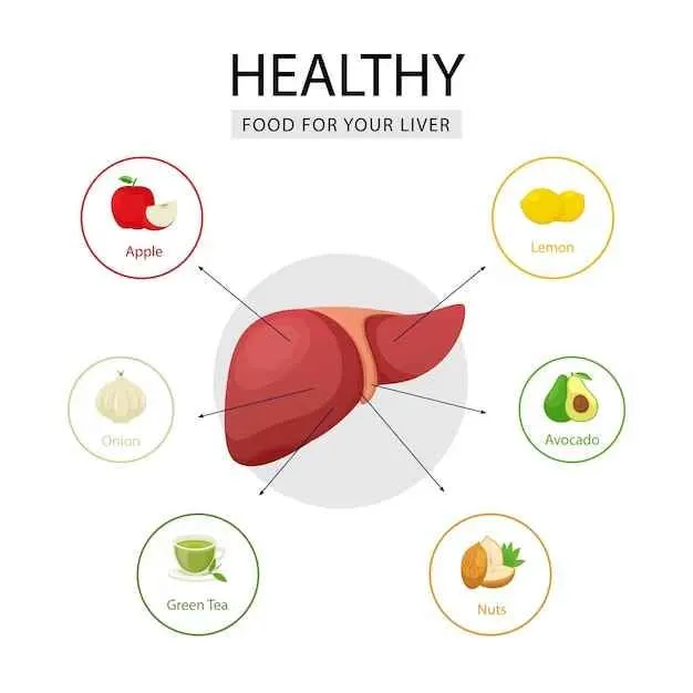 The Liver’s Connection to Weight Loss: Understanding its Impact on Fat Burning