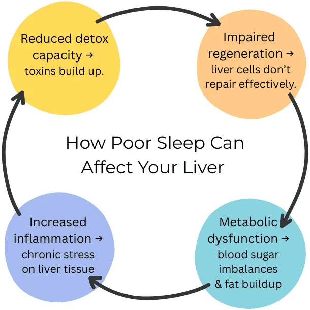 The Surprising Link Between Sleep and Liver Health