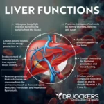 Unlocking the Link Between Metabolic Health and Liver Function