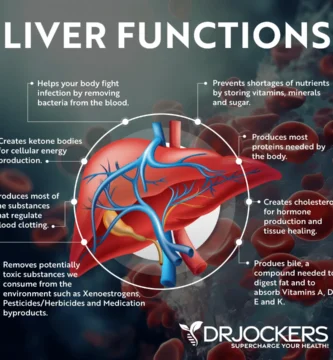 Unlocking the Link Between Metabolic Health and Liver Function