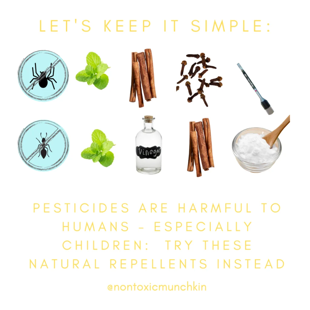 How to Get Rid of Ants Naturally