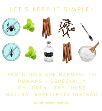 How to Get Rid of Ants Naturally