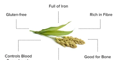 Jowar (Sorghum) – Benefits, Nutrition Value, & Recipes
