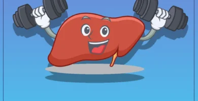 The Role of Diet and Exercise in Supporting Liver Health