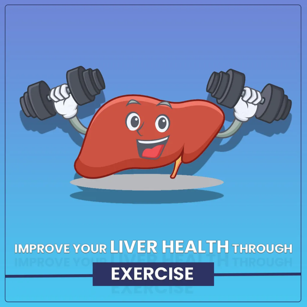 The Role of Diet and Exercise in Supporting Liver Health