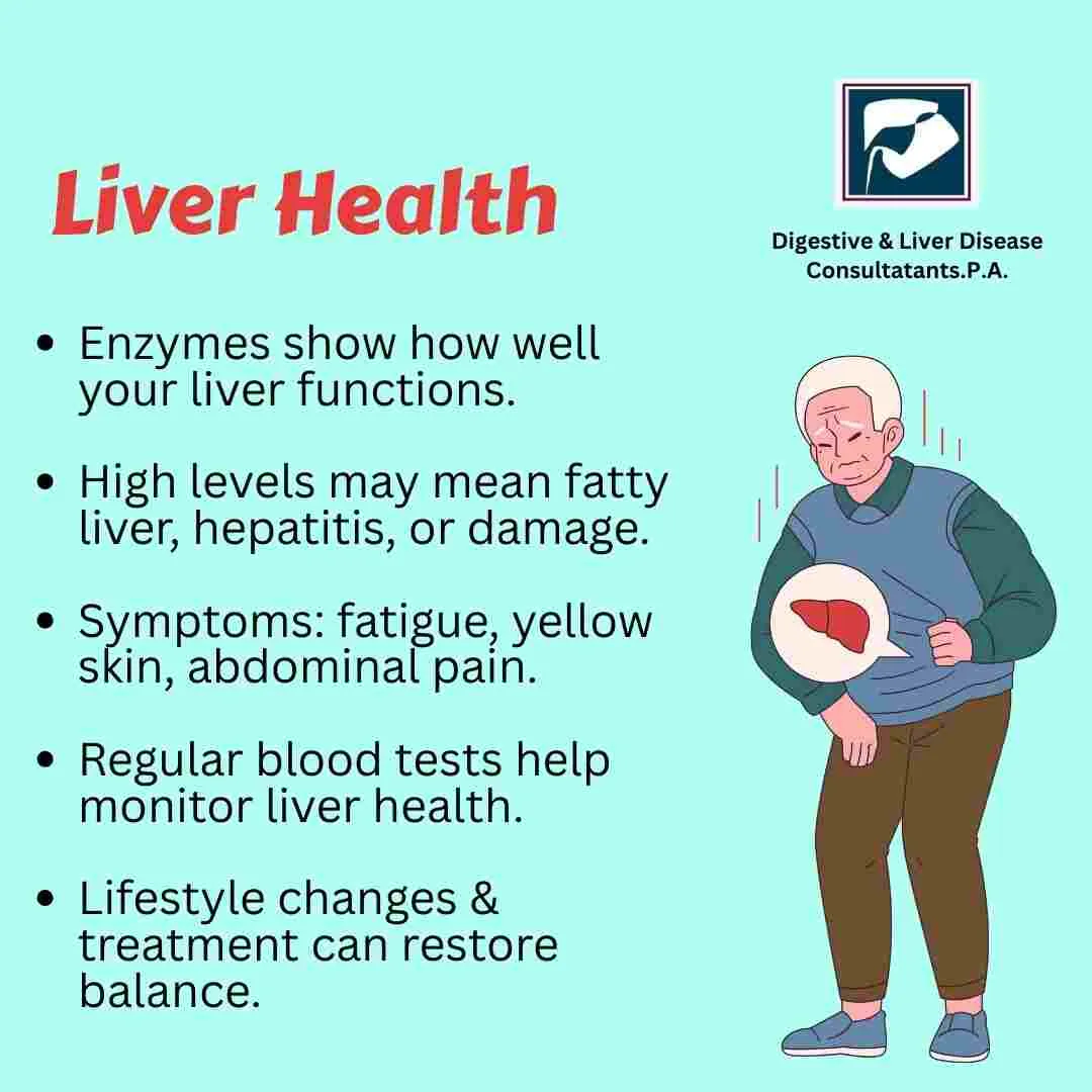 The Role of Liver Enzymes in Your Health