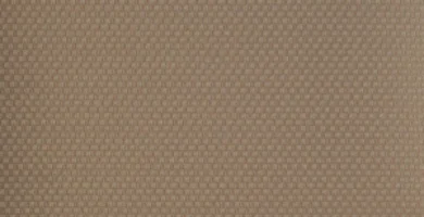 From Fatigue to Feeling Fantastic: The Liver-Energy Connection