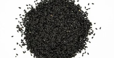 Kalonji Seeds – Benefits, Nutrition, & Recipes