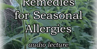 Powerful Natural Remedies for Seasonal Allergies