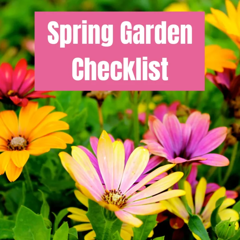 Spring Garden Checklist For An Easier Garden Season