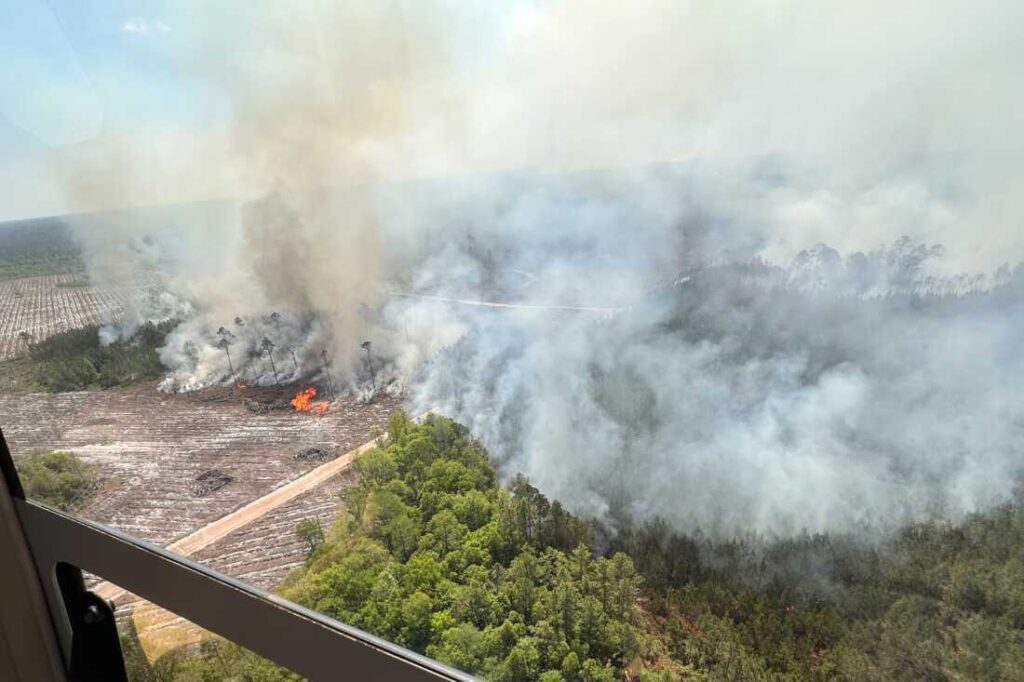 A fast-growing Georgia wildfire tops 31 square miles, with evacuations possible : NPR
