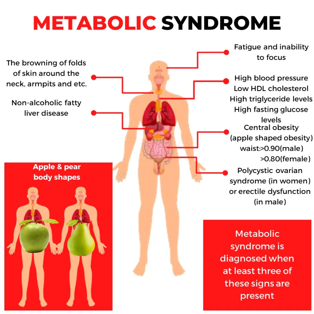 Understanding the Impact of Metabolic Syndrome on Liver Function