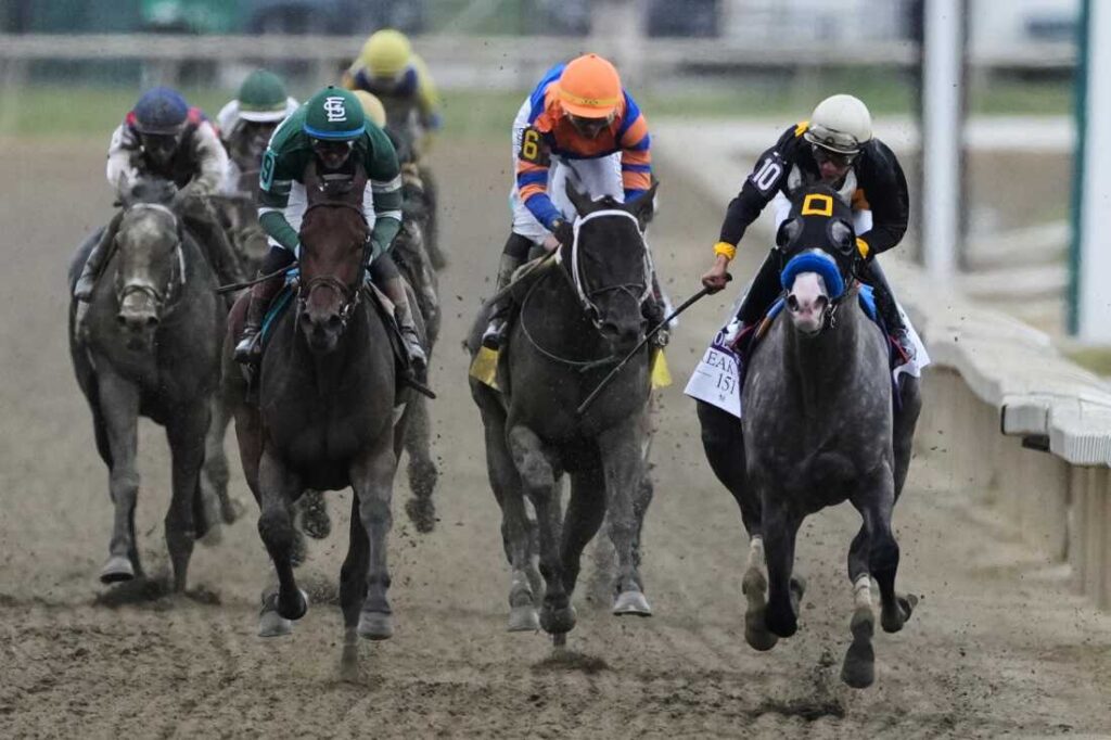 Napoleon Solo wins the Preakness at Laurel Park : NPR Napoleon Solo wins the Preakness at Laurel Park : NPR