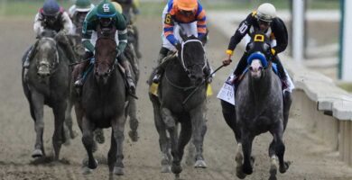 Napoleon Solo wins the Preakness at Laurel Park : NPR