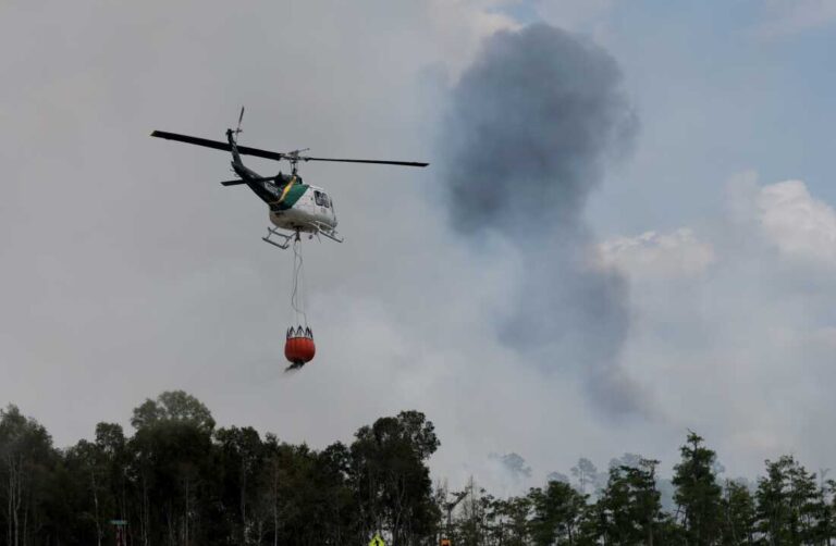 Trump administration’s new wildfire agency preps for fire season : NPR