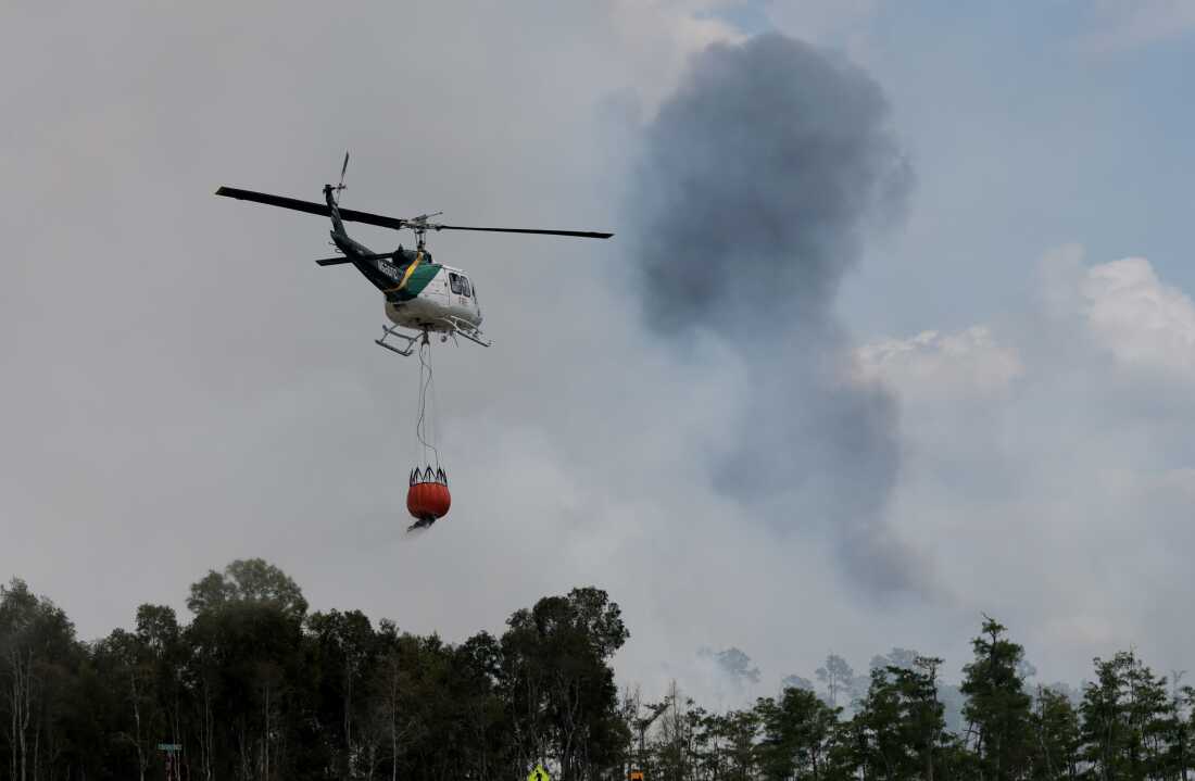 Trump administration’s new wildfire agency preps for fire season : NPR