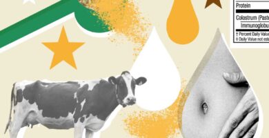 Is bovine colostrum really ‘liquid gold’ for gut health? : NPR