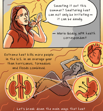 How excessive heat kills and how to stay safe : NPR